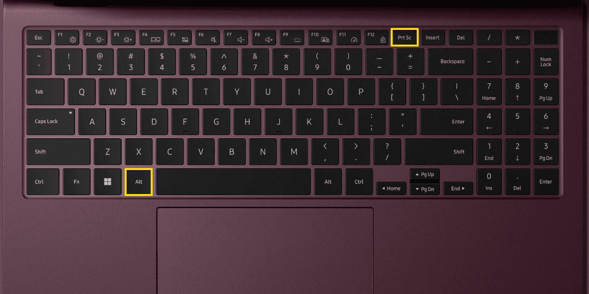 Alt and PrtSc keys on Samsung Laptop Keyboard