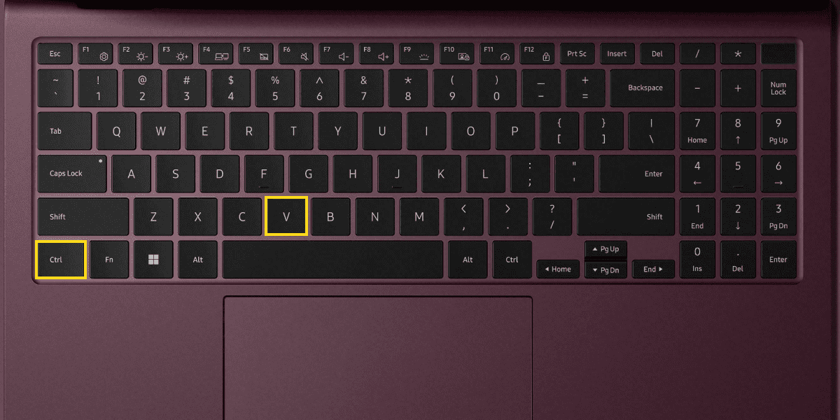 Ctrl and V keys on Samsung Laptop Keyboard