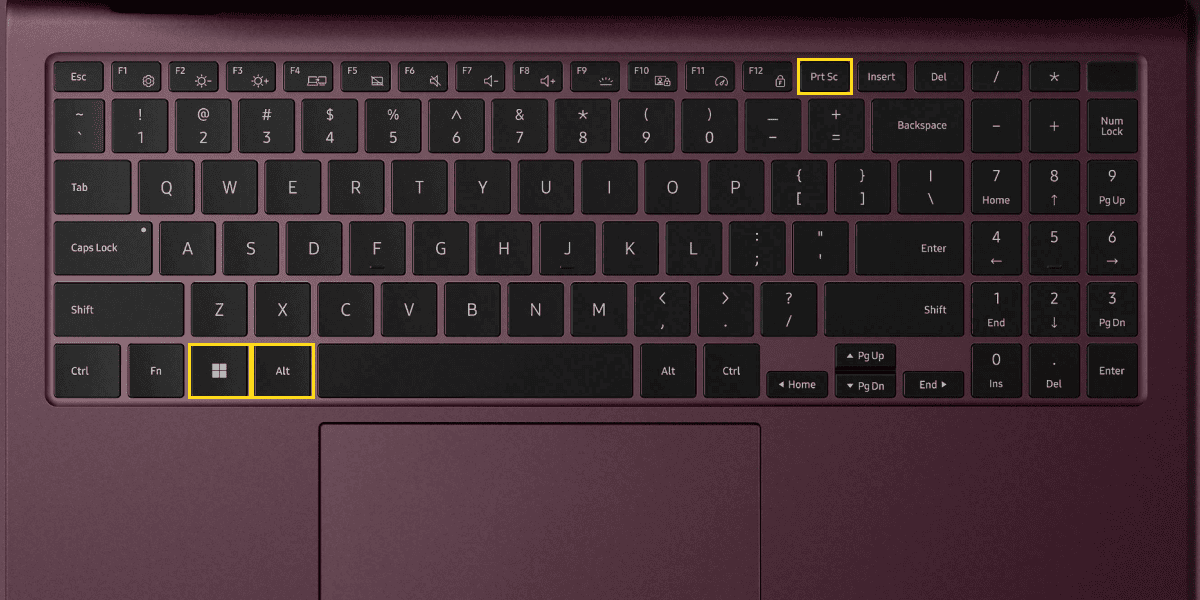 Windows, Alt and PrtSc keys on Samsung Laptop Keyboard