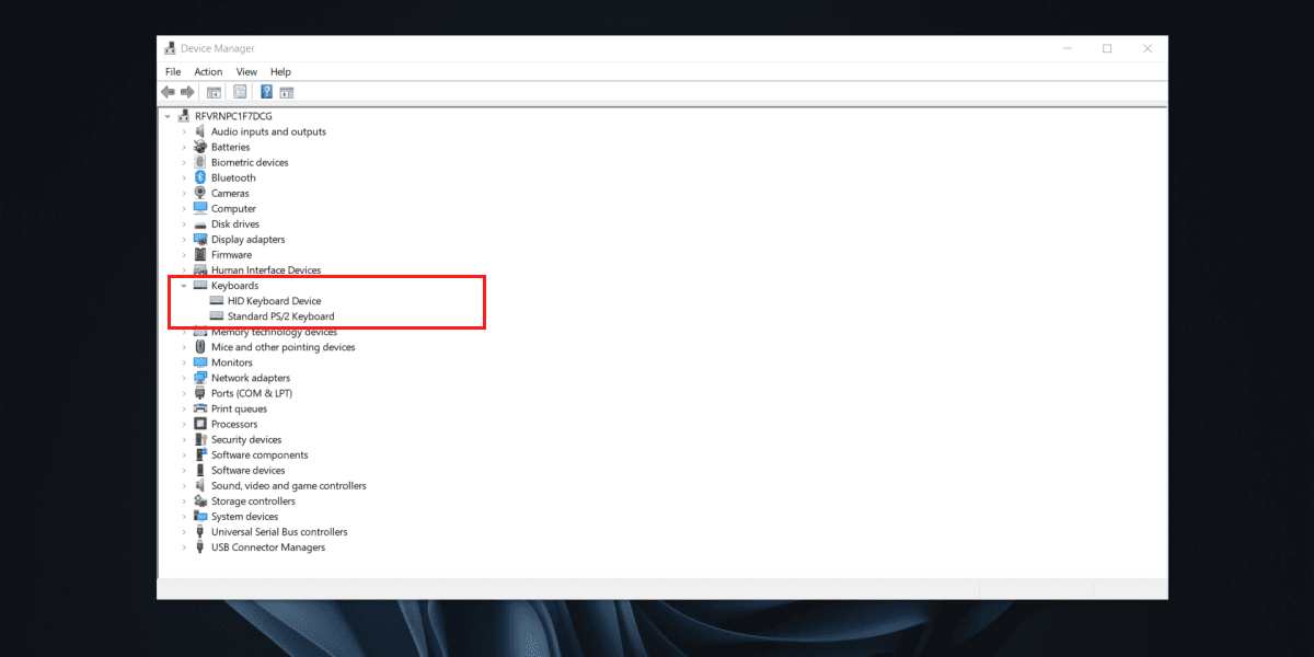 Keyboard devices in Device Manager