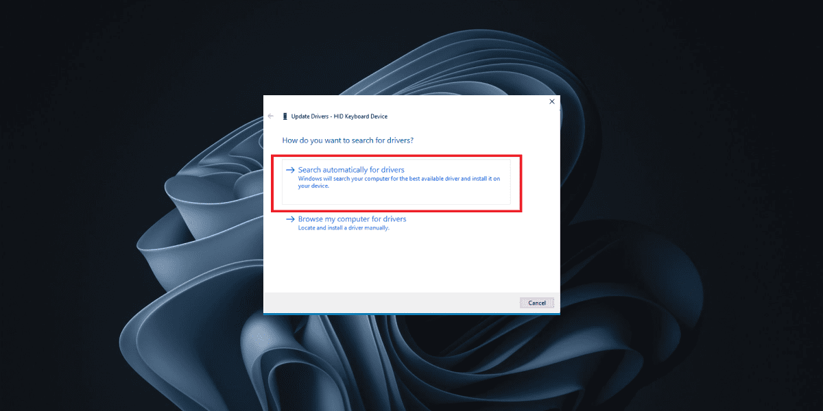 "Search automatically for updated driver software" option